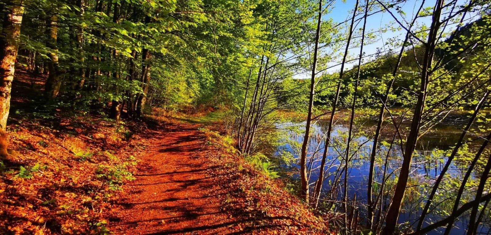 Le Lac Des Moines Condat  외부 사진