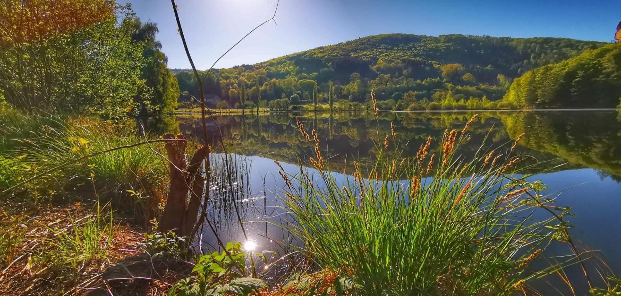 Le Lac Des Moines Condat  외부 사진